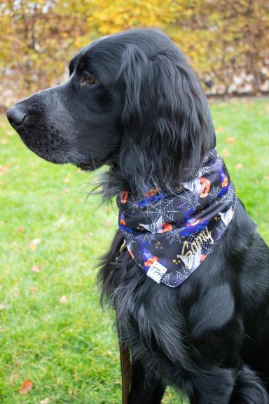 Fokus Hallooweenhalstuch mit name