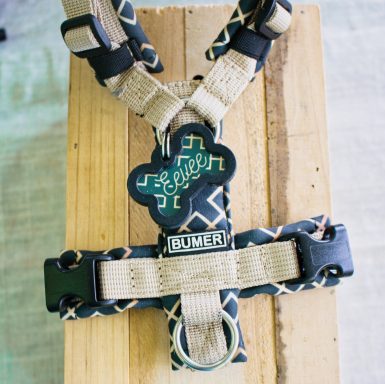 Hundemarke passend zum Geschirr